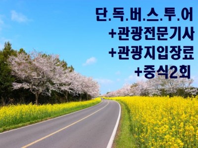 초저가알뜰단독(12명이상)단체팀